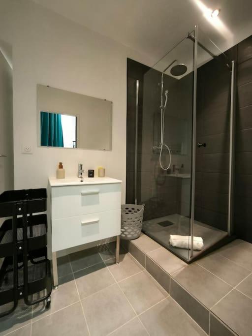 Appartement Bel Appt-quartier Des Halles-2 Pers-animal Accepte