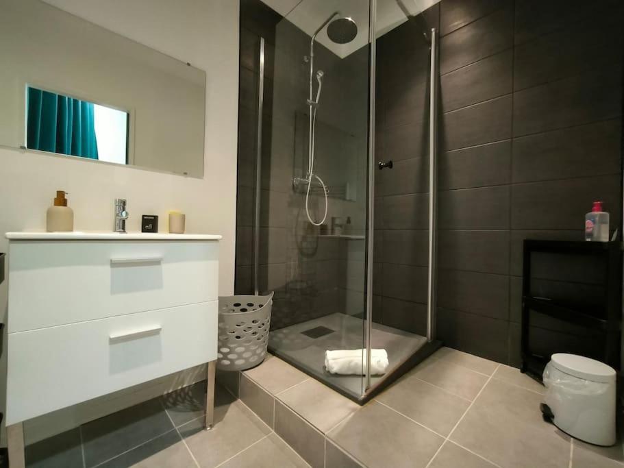 Appartement Bel Appt-quartier Des Halles-2 Pers-animal Accepte